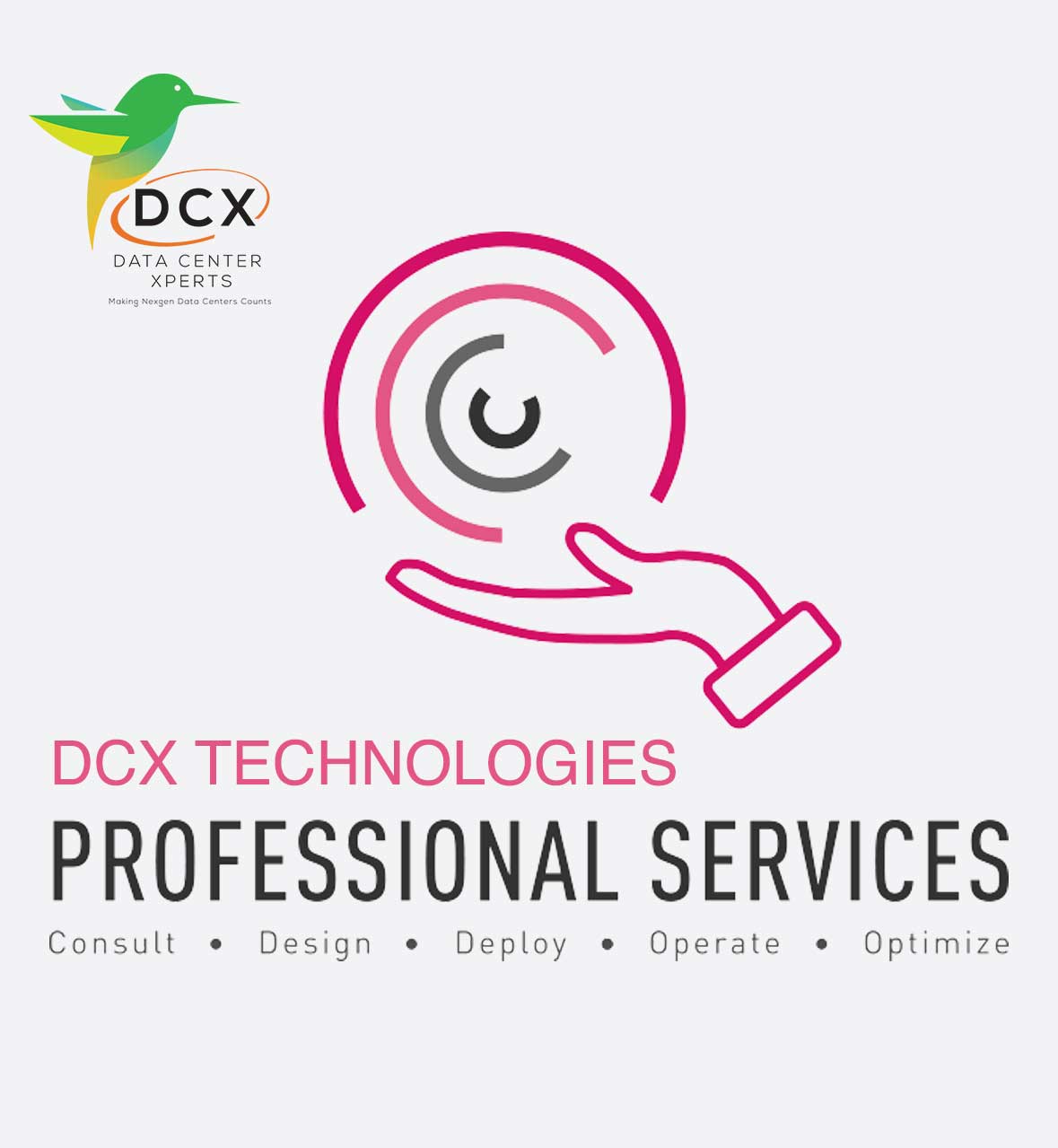 DCX Professional Services