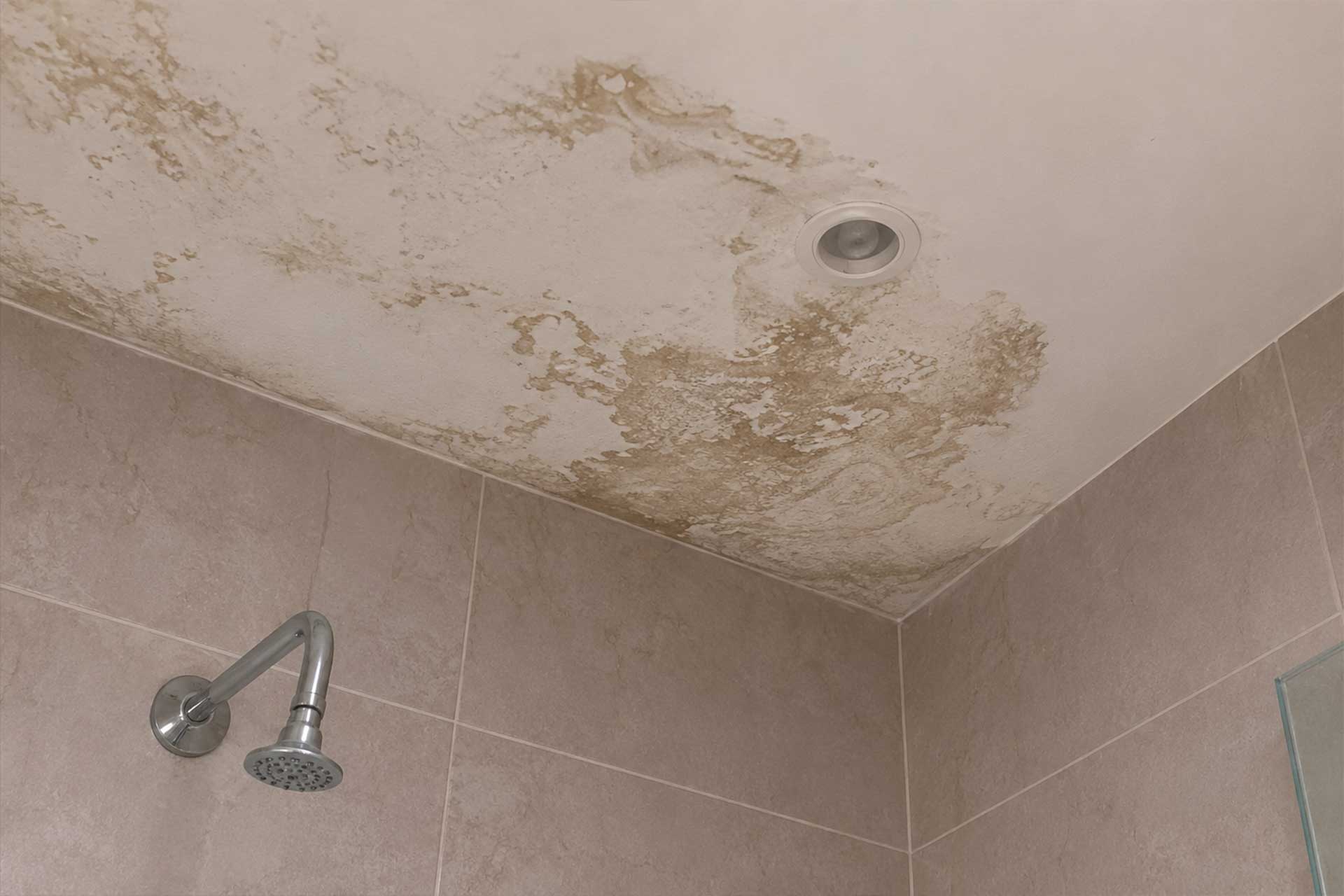 Water damage assessment of leaking villa bathroom ceiling and walls. 